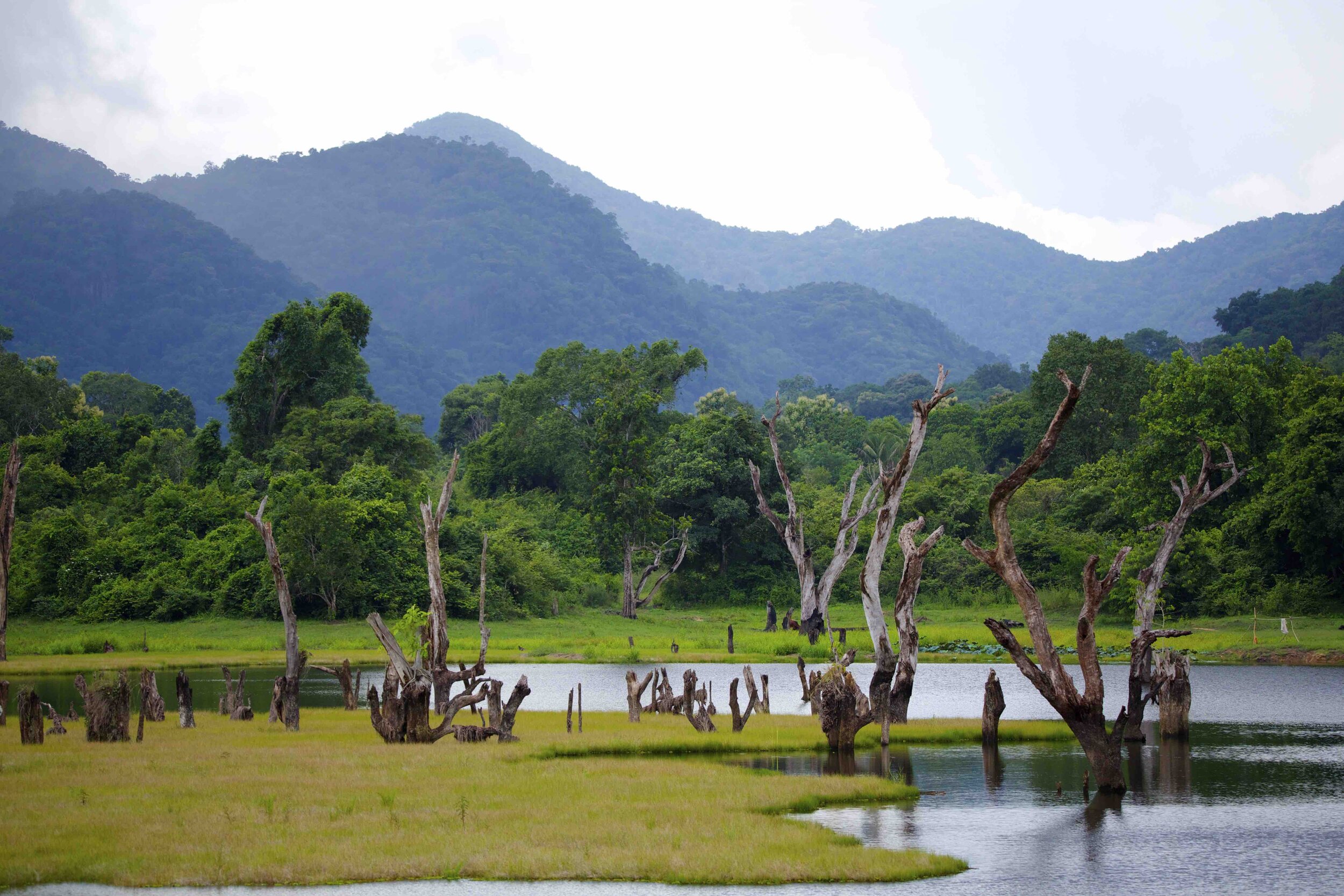 Gal Oya National Park
